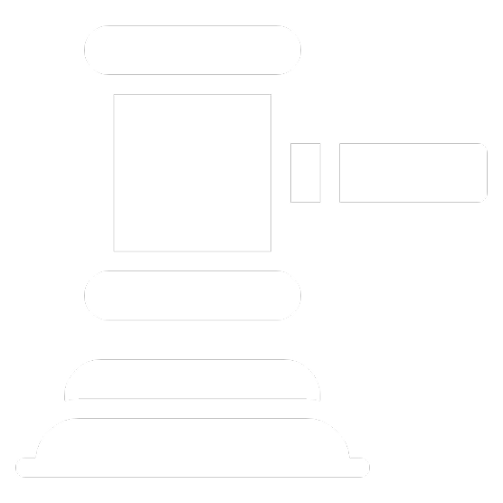 ¿QUÉ ES UNA ORDEN JUDICIAL?